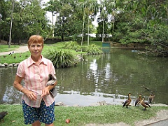 071 Port Douglas Wildlife Habitat